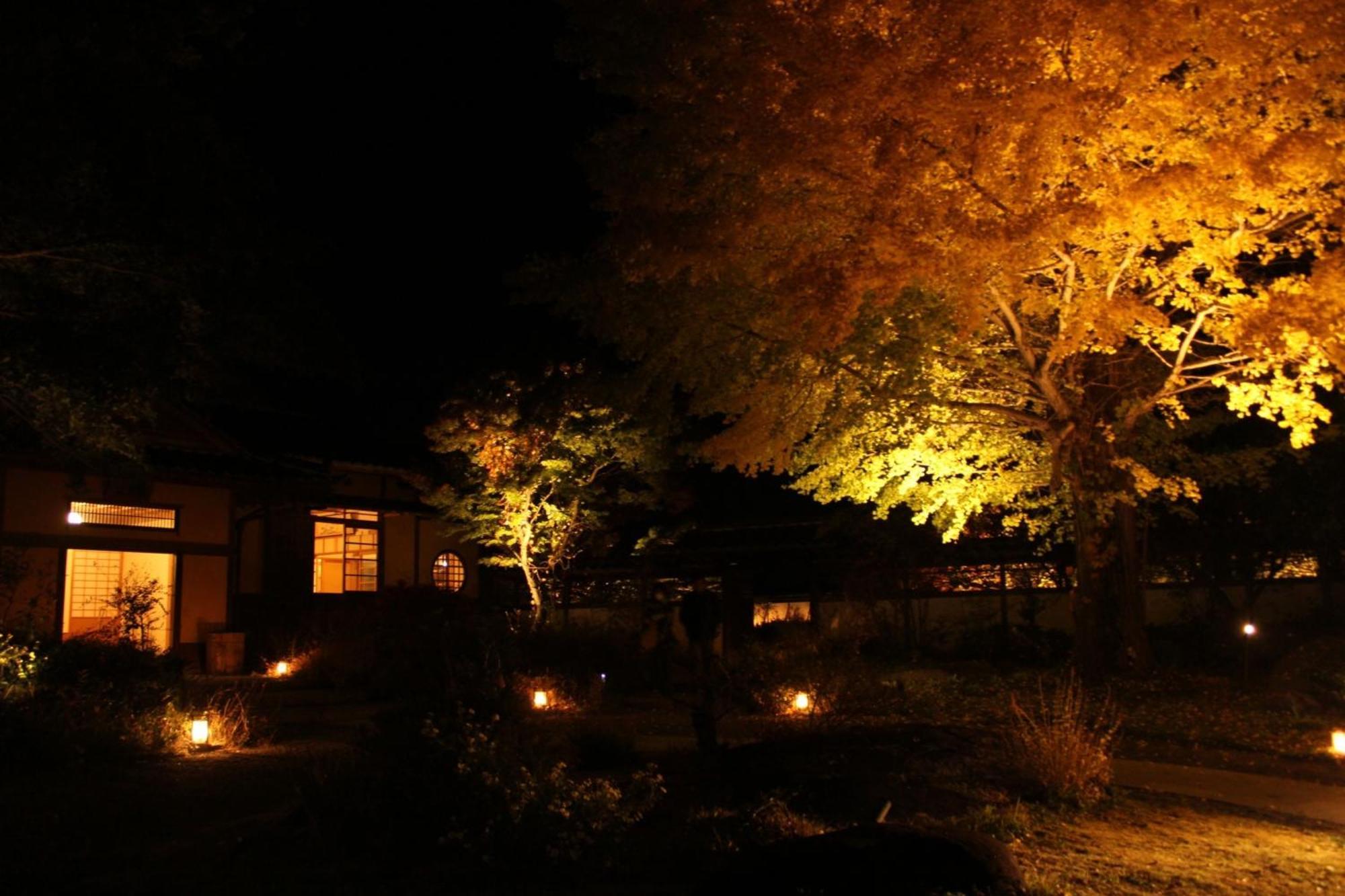 - House - Vacation 10281